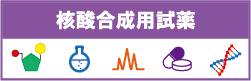 核酸合成
