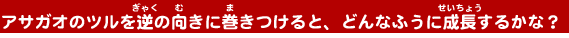 �A�T�K�I�̃c�����t�̌����Ɋ�������ƁA�ǂ�Ȃӂ��ɐ������邩�ȁH
