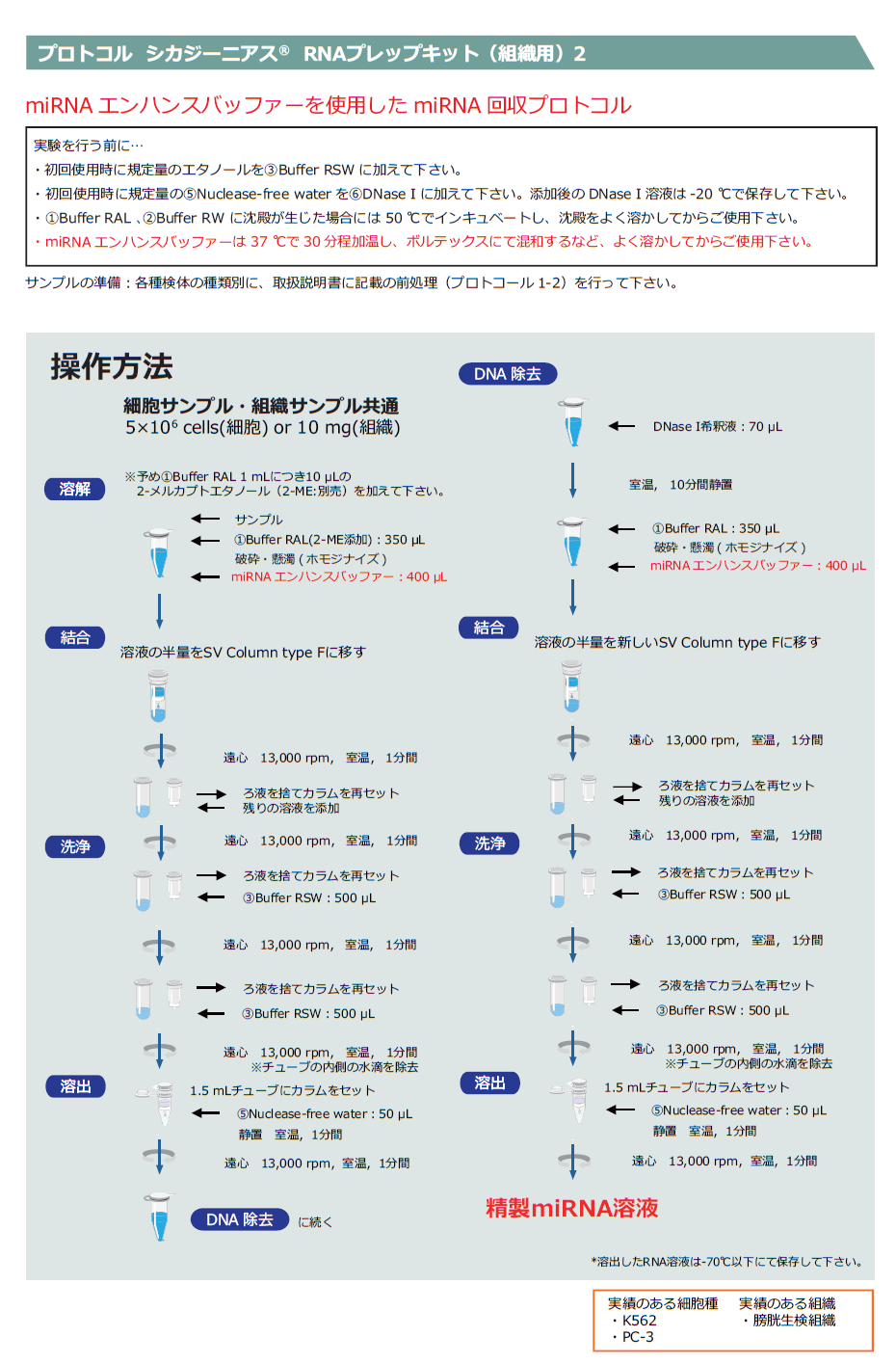 プロトコル_BGf-03.png