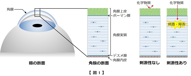 EIT-1-1-1.jpg