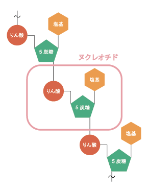 核酸医薬品