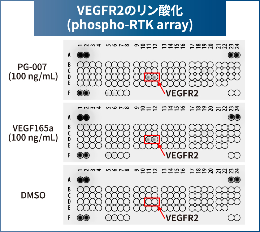 bio_fig_pg007_01_jp.jpg