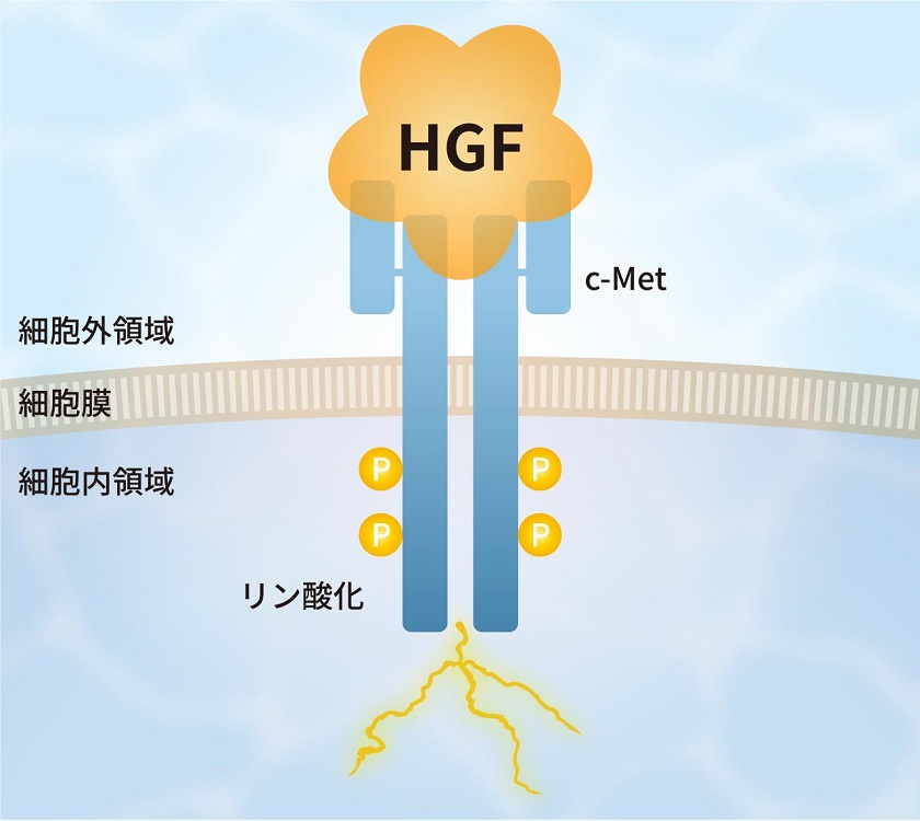 bio_img-pg001-1.jpg