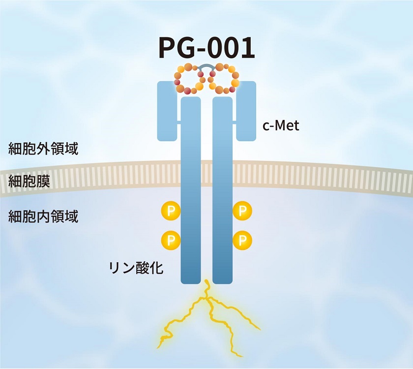 bio_img-pg001-2.jpg