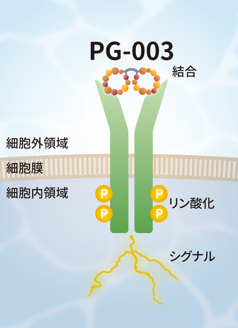 bio_img-pg003-3.jpg