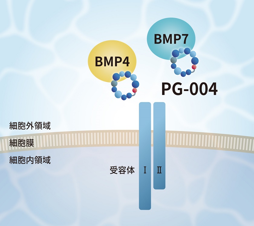 bio_img-pg004-2.jpg