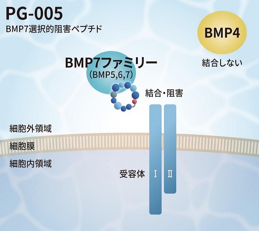 bio_img-pg005-1.jpg