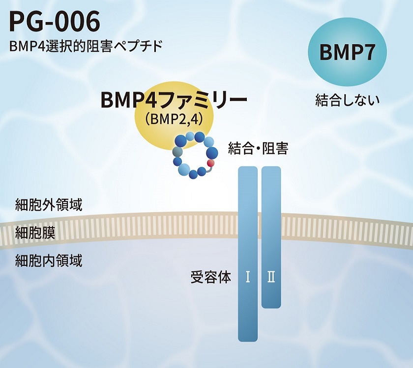 bio_img-pg005-2.jpg