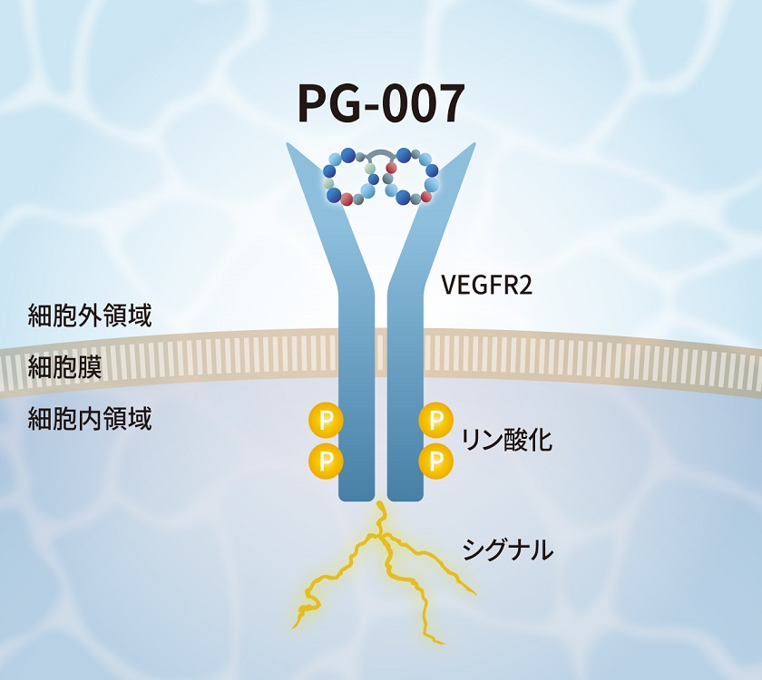 bio_img-pg007-2.jpg