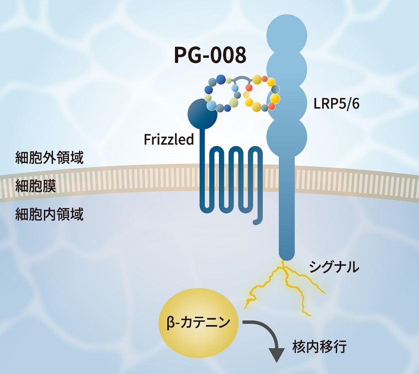 bio_img-pg008-2.jpg