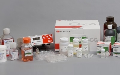 分子生物学基礎試薬