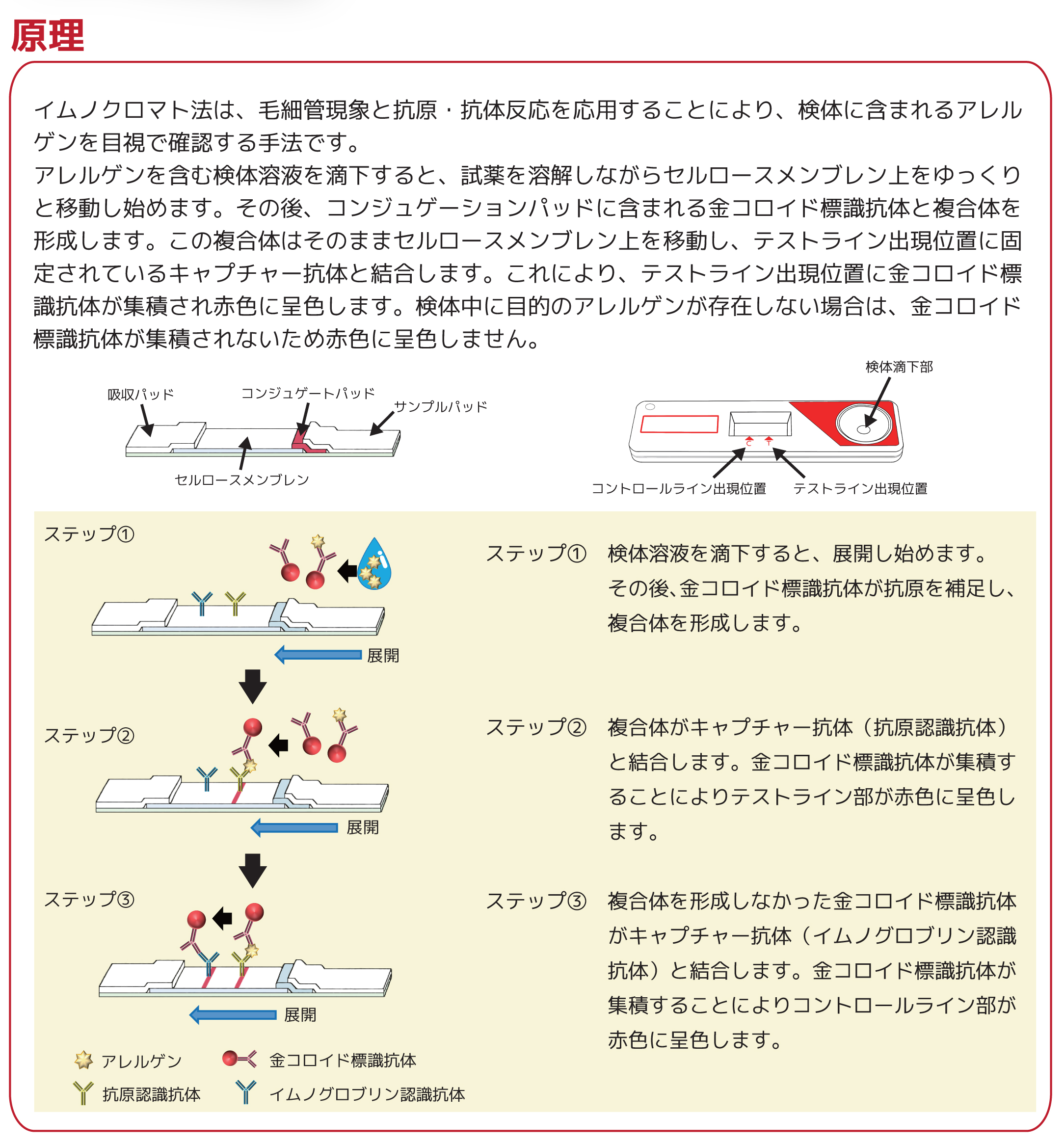 bio_immunochromato.jpg