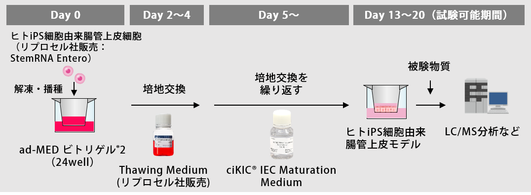ciKIC IEC MMプロトコール概要.png