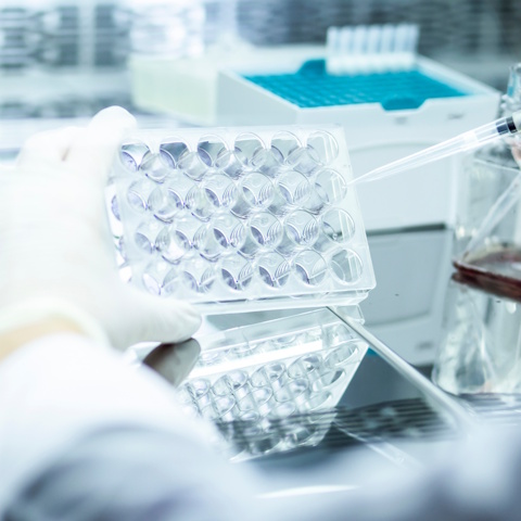 あらゆる顧客のニーズに応える 試薬のリーディングカンパニー あらゆる顧客のニーズに応える 試薬のリーディングカンパニー