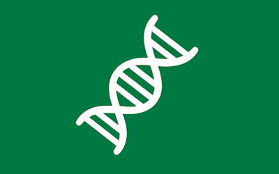 核酸合成