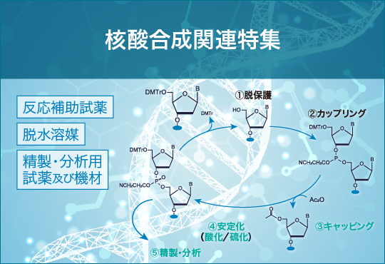 核酸合成相关特集