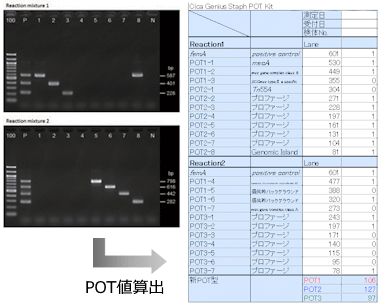 POT Kit Excel