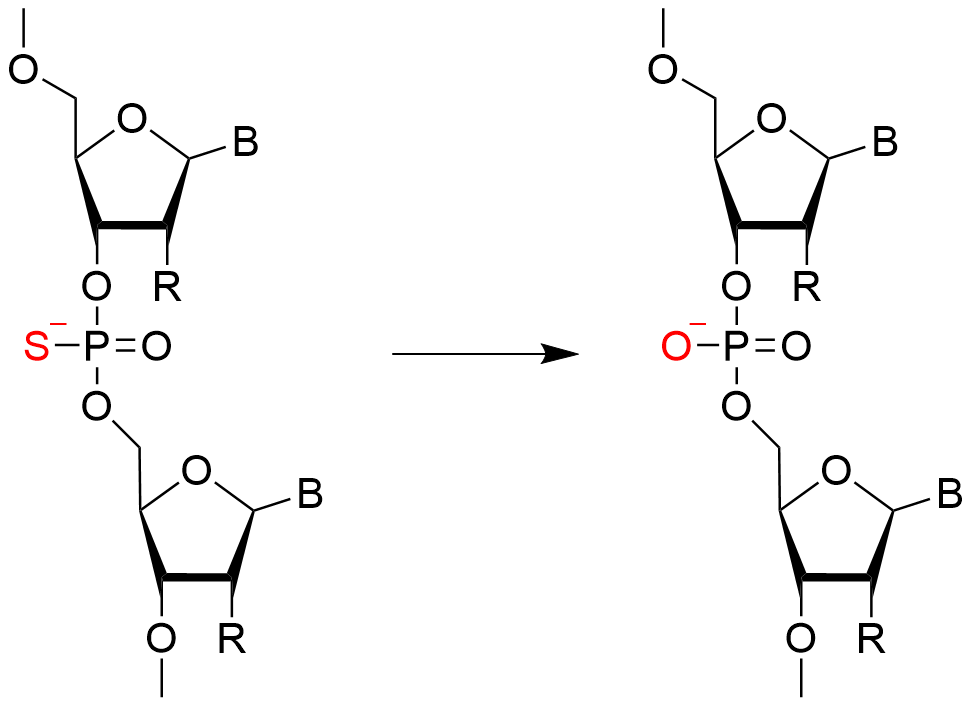 リン酸基