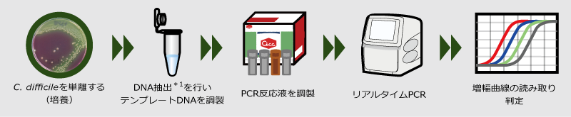 s_CDToxinRTPCR_method.png