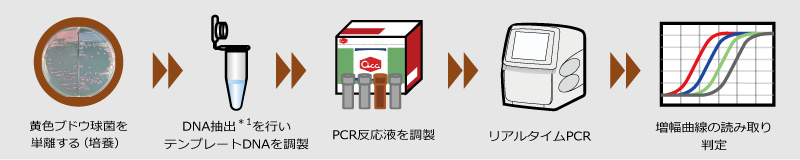 s_CDToxinRTPCR_method.png