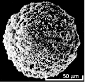 s_MagnesiumPyrophosphate.png