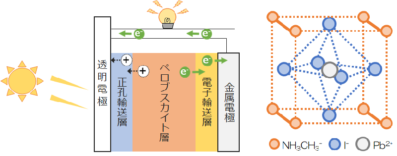 ペロブスカイト太陽電池の構造例