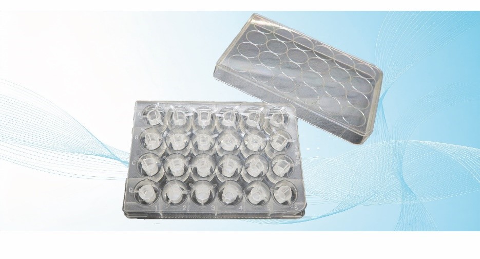 Analytica Vietnam 2025