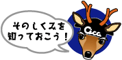 そのしくみを知っておこう！
