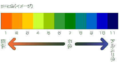 バーチャル実験室