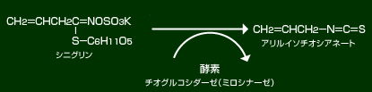 アリルイソチオシアネート